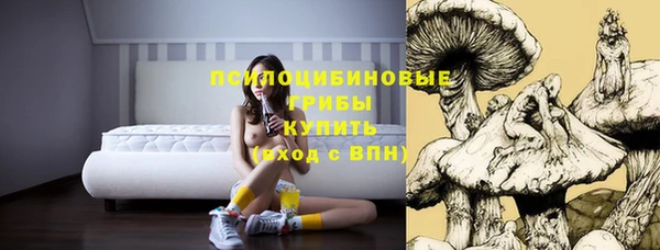 MESCALINE Алзамай