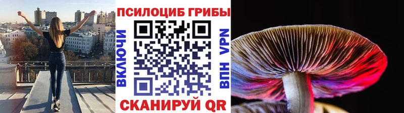 Галлюциногенные грибы Magic Shrooms  магазин продажи наркотиков  Заинск 