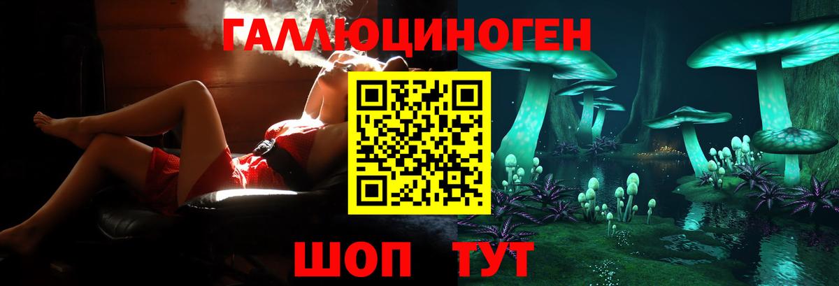 Заинск  Галлюциногенные грибы Psilocybe  Псилоцибиновые грибы Psilocybe  Вход с VPN 