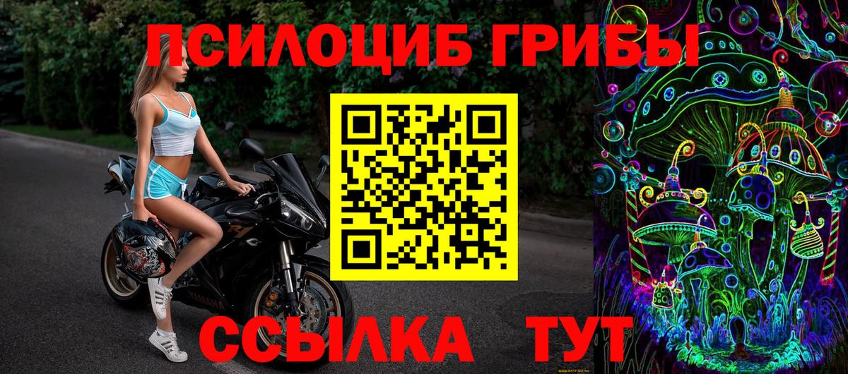 Псилоцибиновые грибы MAGIC MUSHROOMS Заинск